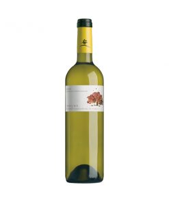 vino-tobelos-blanco-fb-2013-bodegas-tobelos-doowine