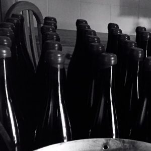 ALBERTO NANCLARES Y SILVIA PRIETO