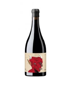 vino-ahari-bodegas-oxer-bastegieta-doowine